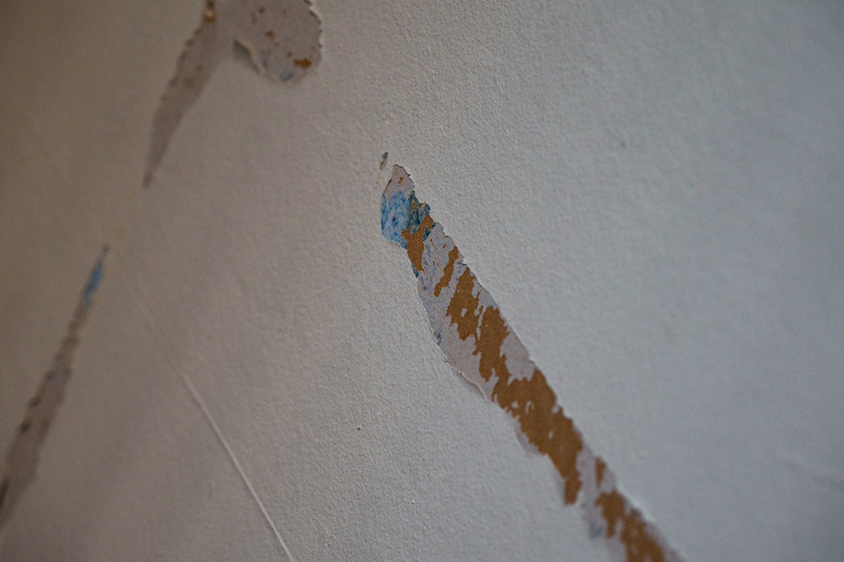 Storm Damage Repair service in Brentwood, CA